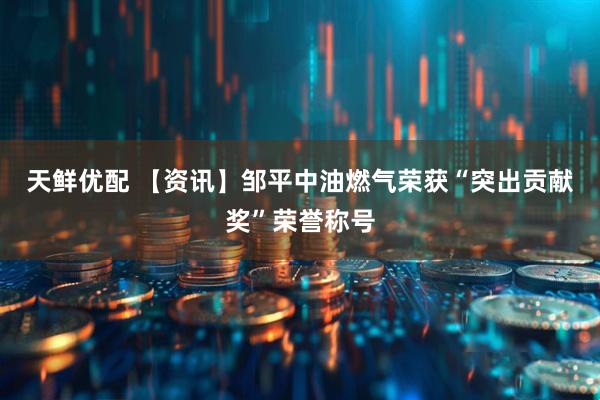 天鲜优配 【资讯】邹平中油燃气荣获“突出贡献奖”荣誉称号